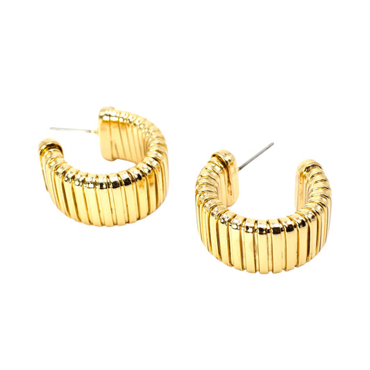 80532 Brito Earrings