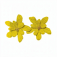 80187 Raffia Earrings