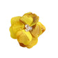 00391 Ari Camellia Pin