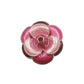 00328 Magnet Pins