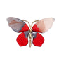 00374 Ari Butterfly Pin